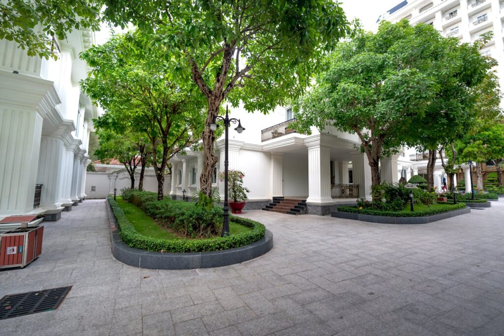 pexels quang nguyen vinh 222549 14012237