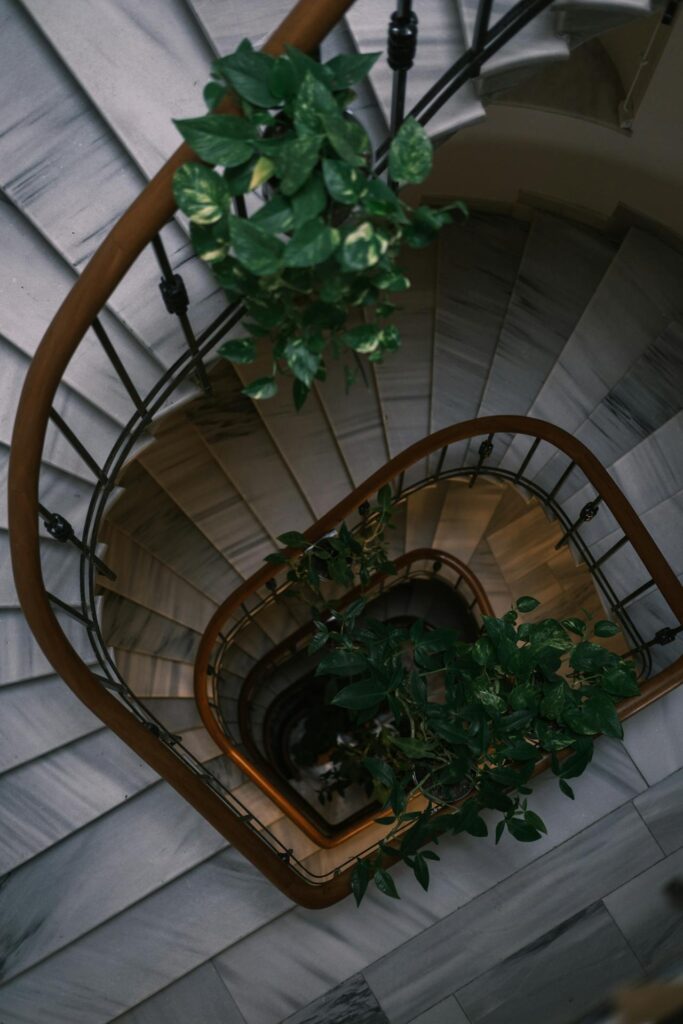 Why Billionaire Homes Feel Different- Reason 2: Biophilic home design